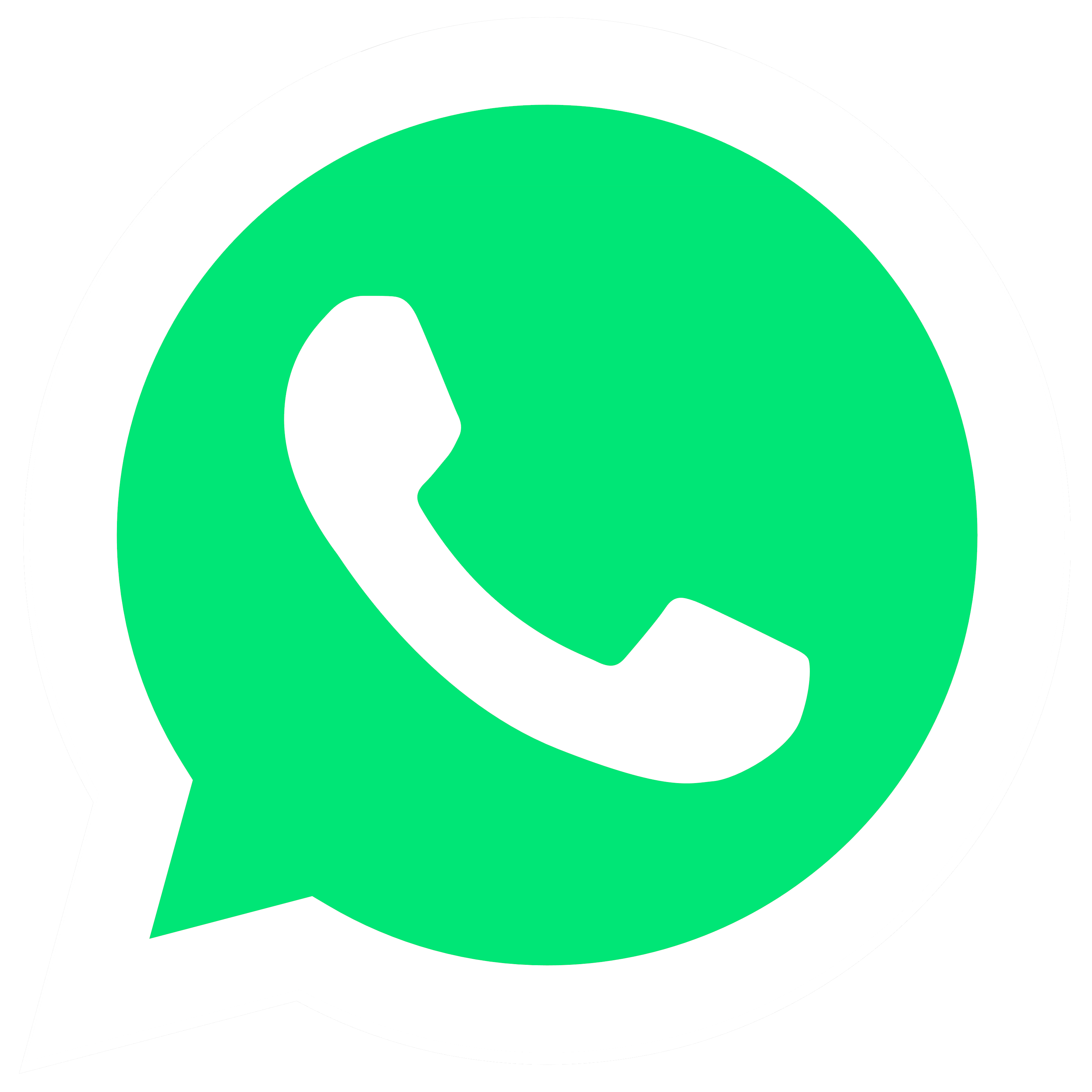 Login Icon